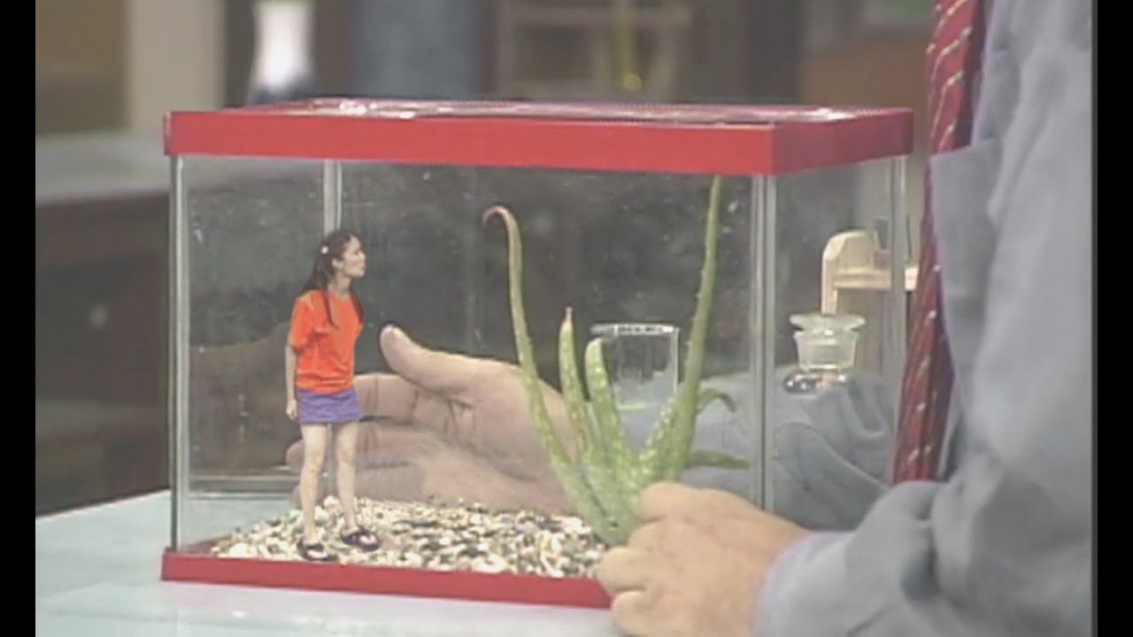 Shrunken woman in mini skirt gets captured