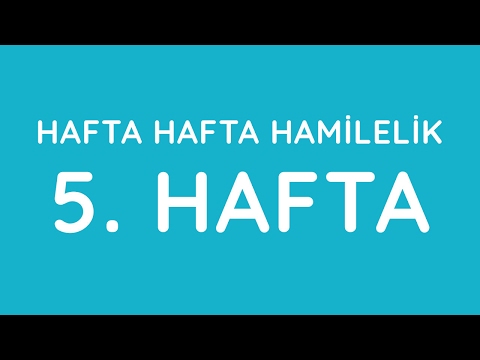 5.Hafta - Hafta Hafta Gebelik - Hamilelik | Anneysen.com