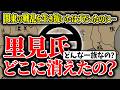 【ゆっくり解説】里見氏ってその後どうなったの?関東の戦乱を生き抜いた源氏の名族・里見氏とはどのような一族でその後どうなってしまったのか?超簡単に解説