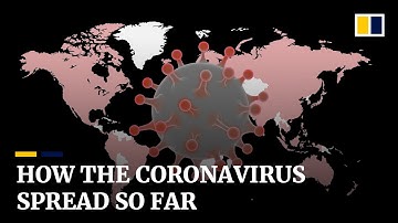 Coronavirus: From mysterious origins to a global threat