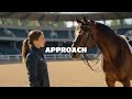 Unlocking the Secrets of Horse Communication: A Guide to Understanding Equine Signals
