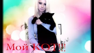 О домашних животных, мой кот и какие у меня раньше были домашние животные Валерия Лукьянова О домашних животных, мой кот и какие у меня раньше были домашние животные Валерия Лукьянова