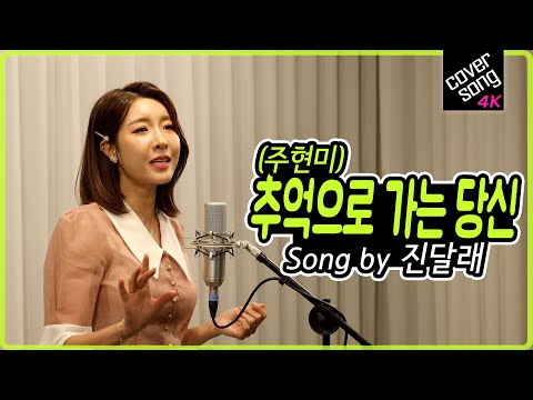 [렛미송 4K] 진달래 - 추억으로 가는 당신 (주현미 원곡) JINDALLAE 💞 Let me song☆ cover