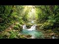 Peaceful Tropical River LIVE 🌿 Water Sounds for Deep Sleep and Relaxation