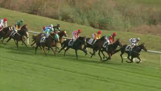 Vidéo de la course PMU PRIX DE L'ALLEMAGNE