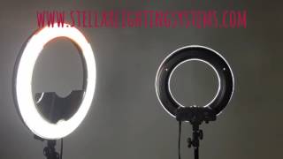 Stellar Diva Ring Light 18 And 12