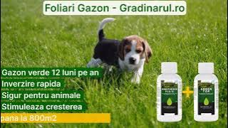 Ingrasamant Foliar pentru Gazon de la Gradinarul.ro