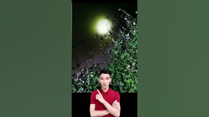 Đi câu cá đêm nhưng bất ngờ với cảnh tượng này