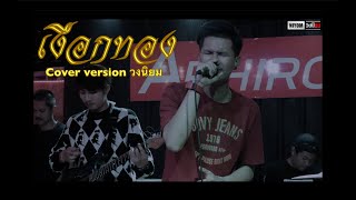 เงือกทอง วงนิยม Cover version (Original อ่าว อันดา)