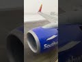 Landing In A SNOWSTORM! Southwest 737-700 Lands In Denver During Winter Storm! #Shorts