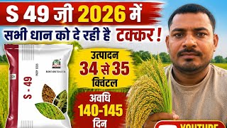 S49 Basant AgroTech धान का सच | पैदावार, अवधि और विशेषताएं | किसान जरूर देखें