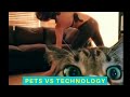 Pets vs Technology - Funny Cats and Dogs