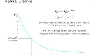 Lifetime Concept