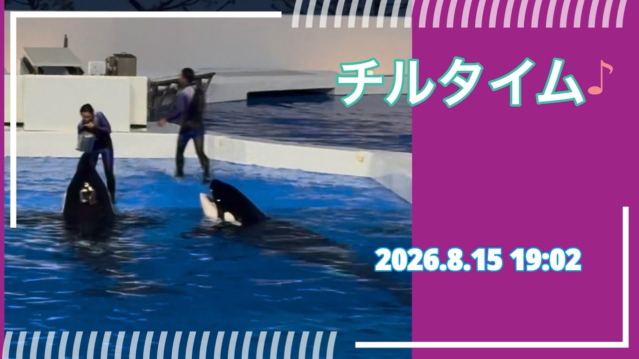 Chill Time♪ 08/15/2026 7:02 PM - YouTube