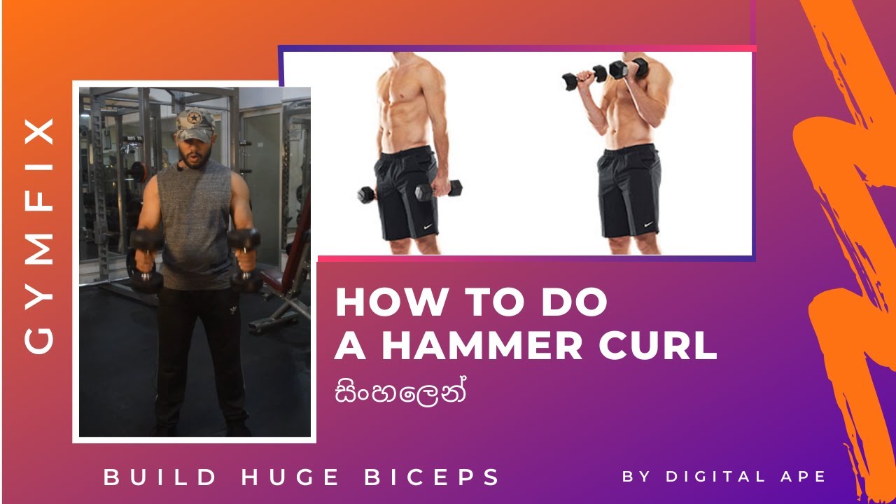 Hammer Curl Explained in Sinhala සිංහලෙන් YouTube