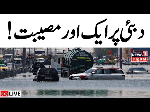 Dubai Floods 2024 LIVE 