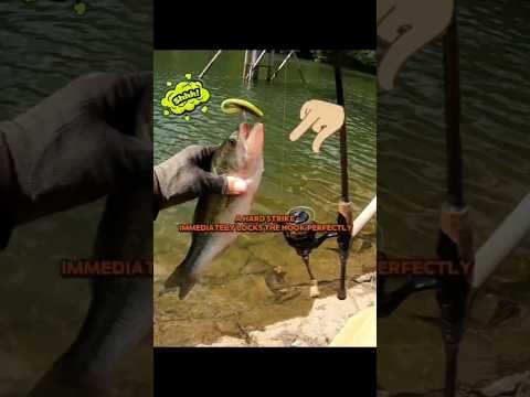 fishing Adventure #fishing #casting #angler #gonefishing #fishingvideo