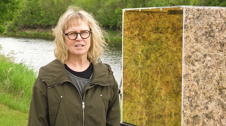Tracy Peters: Inside/Out - Bog Sensing