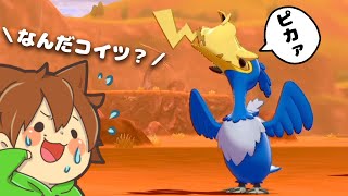 【ポケモン剣盾を縛りプレイ#9】ピカチュウを丸呑みしようとするポケモンがヤバ過ぎたｗ【ゆっくり実況プレイ】