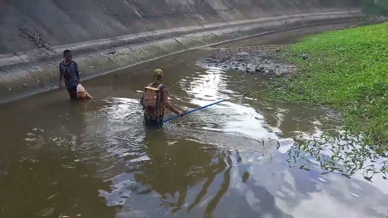 ep.29 naka chamba na naman nang carpa 4kls na naman 