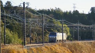 JR貨物 単機2052レ EF66-125[吹]号機 カナキク東峰踏切