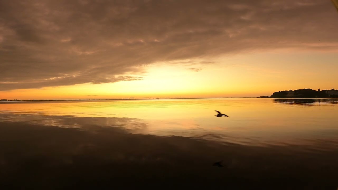 008 | December | Meditative Indian River Sunrise 4K | Birds Boats | Calming Natural Sounds