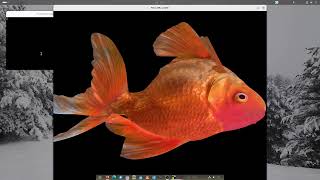 SDL RenderGeometry Wavefront obj