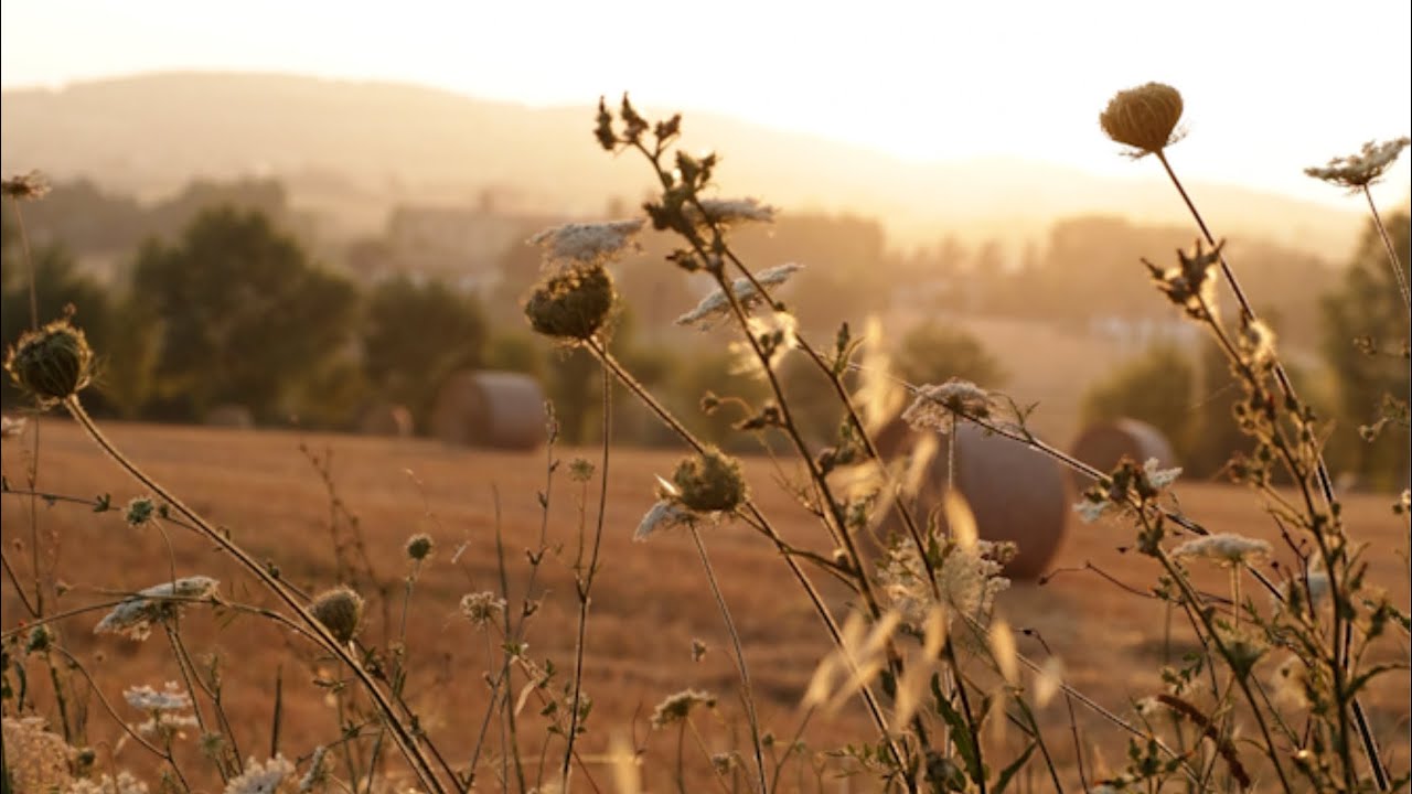 Italy Looking Beautiful Again