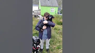 Nora Welcomes Nikolaj Home W Much Gusto Nora Approves This Video Dachsund Nora Greenland Love 