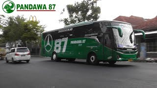 Bus Pandawa 87 Pariwisata Rombongan Tni Jetbus 5 Mhd Beriringan Dengan Bus M-Trans Avante