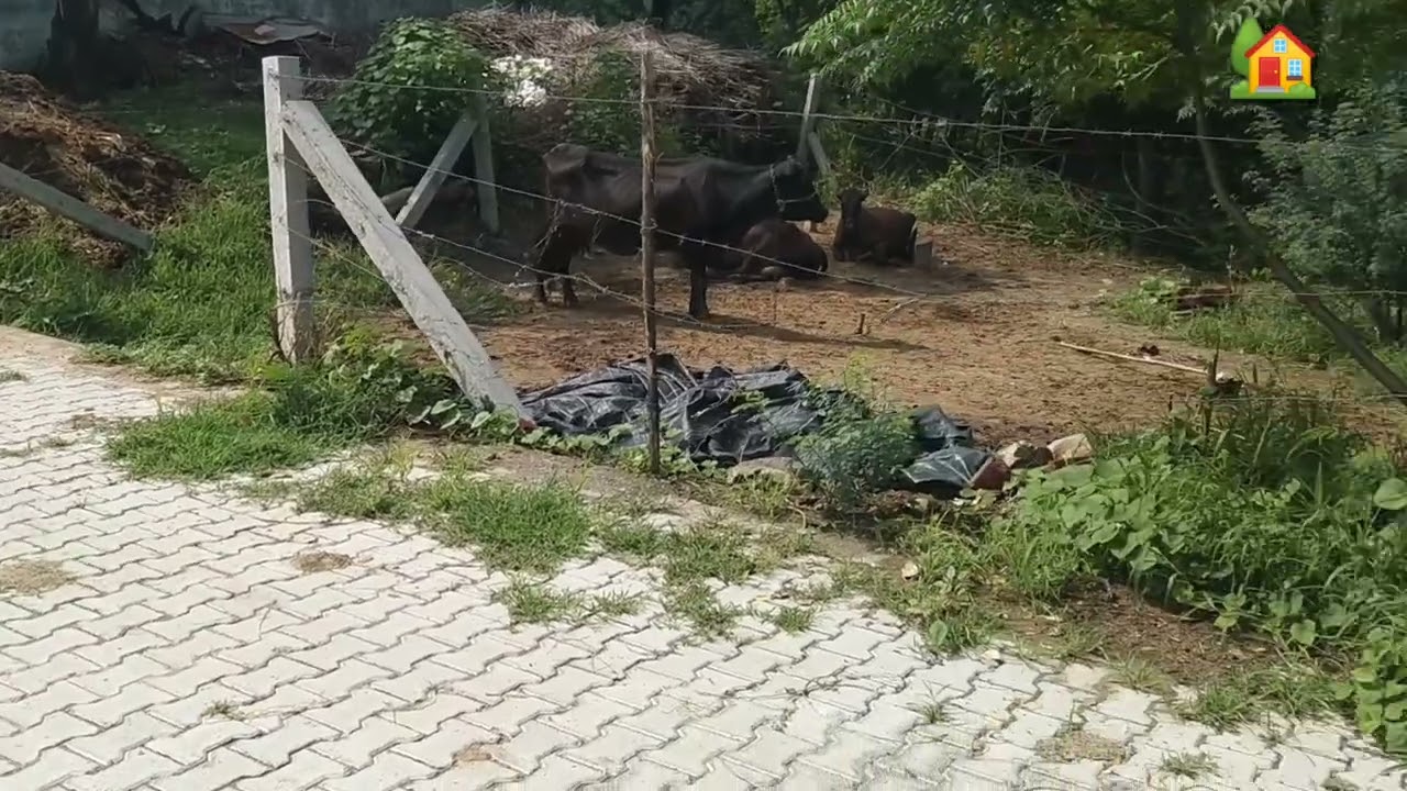 Farm Land for Sale Khatawali Dharuhera