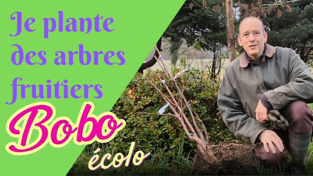 Je plante des arbres fruitiers