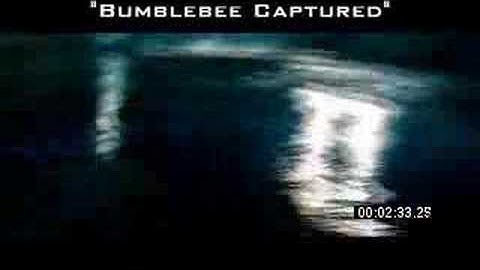 Transformers 2007 - Bumblebee Captured