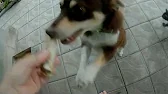 Просто жизнь.