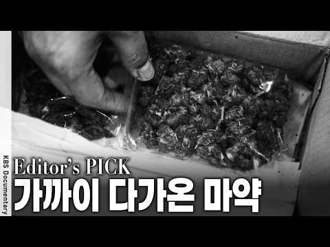 신장 포기 각서까지 쓰며 대출... 마약 중독 회복자가 말하는 자멸의 과정 | KBS 월요기획 20170619 방송