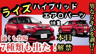 【最速】ライズハイブリッドエアロ特集