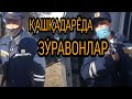 ҚАШКАДАРЁДА БЕСПРИДЕЛ,ЯККАБОҒ ЗУ́РАВОНЛАРИ