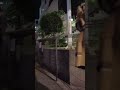 大久保公園の魅力を発見！週末の夜・新宿歌舞伎町 #shorts #散歩 #kabukicho #東京 #日本 #nightlife #shinjuku #tokyo #japan