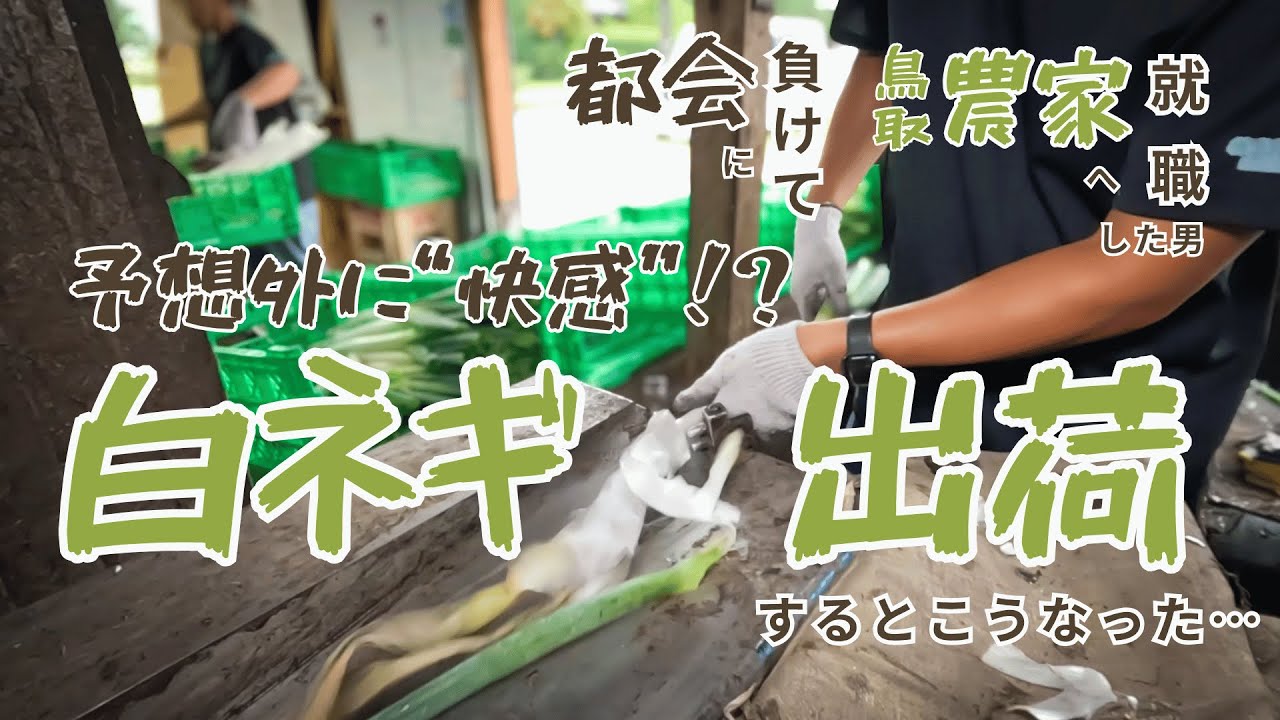 “選果の快感”　知るとこうなった…白ネギの皮が飛ぶ！？｜都会に負けて鳥取の農家へ就職した男