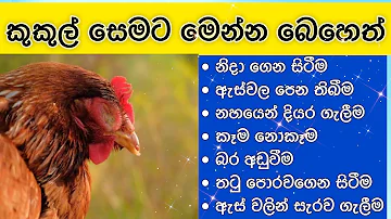 කුකුලන්ට සෙම හැදිලද ? මෙන්න බෙහෙත. | kukul palanaya sinhala | diseases of chickens | කුකුල් පාලනය