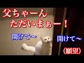 野良猫が遊びに来た!って言うより夜遊びから帰宅した野良猫!って言うのが願望ですね笑