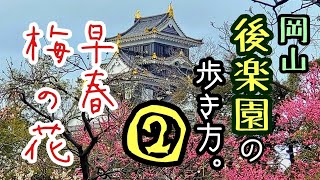 【岡山後楽園】梅が咲き誇る「岡山後楽園の歩き方②」