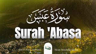 Surah Abasa (سورة عبس) | Soul Touching Quran Recitation with a Soft & Beautiful Voice | Rawdha TV screenshot 2