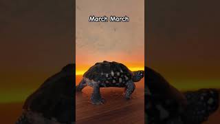Marching #shorts #remix #turtle #usa