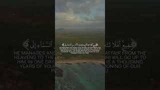 #viralvideo #movie #3danimation #cartooncats #funny #animationfun #animation #cartoon #history