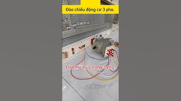 Cách đảo chiều quay động cơ 3 pha #diencongnghiep