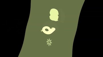 Windows Movie Maker 6.0 On Windows 10 Test