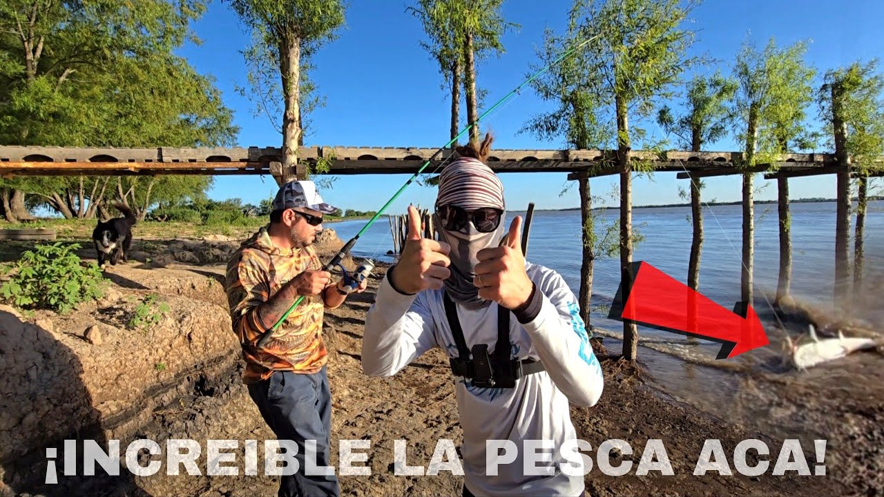 PESQUERO EL REMANSO, MUCHOS PATI, SURUBI, DORADO Y VARIADA, pesca en VUELTA DE OBLIGADO.