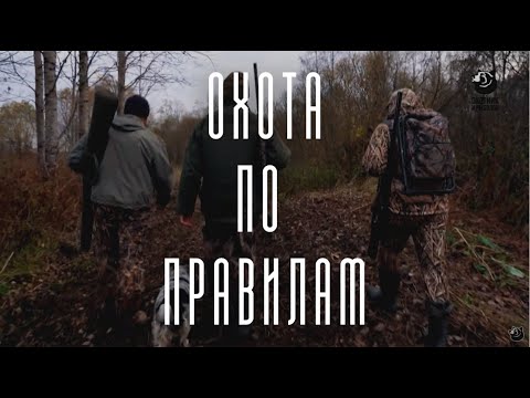 Охота на медведя, утку и вальдшнепа в Новгородской области // Охота по правилам