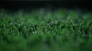 Искусственное покрытие Field Turf Core